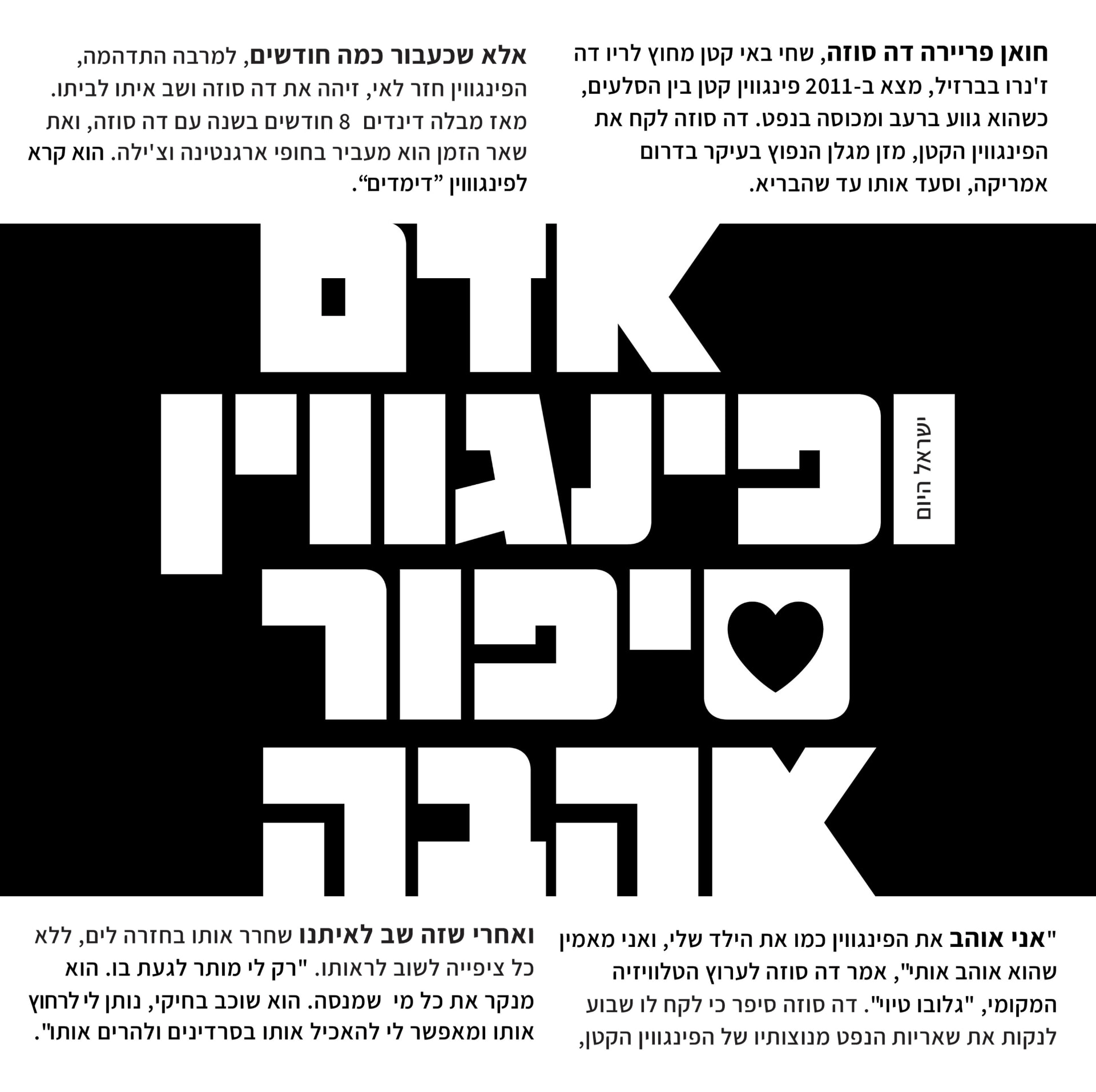 פוסטר מכתבה בעיתון הארץ